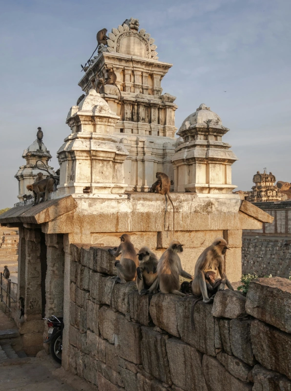 Custom sightseeing taxi South Goa